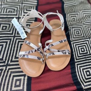 Gladiator Sandals